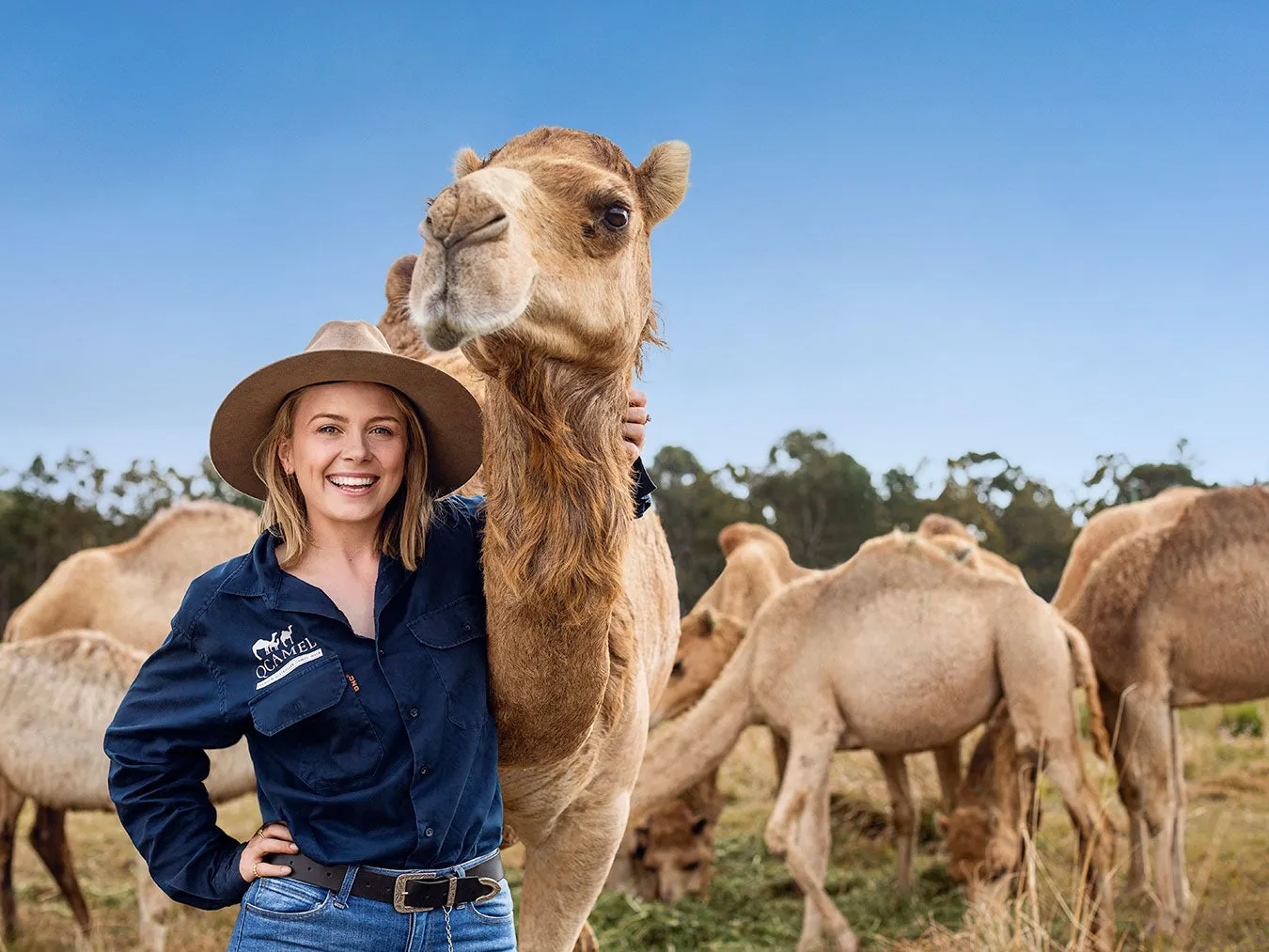 qcamel-1350.jpg
