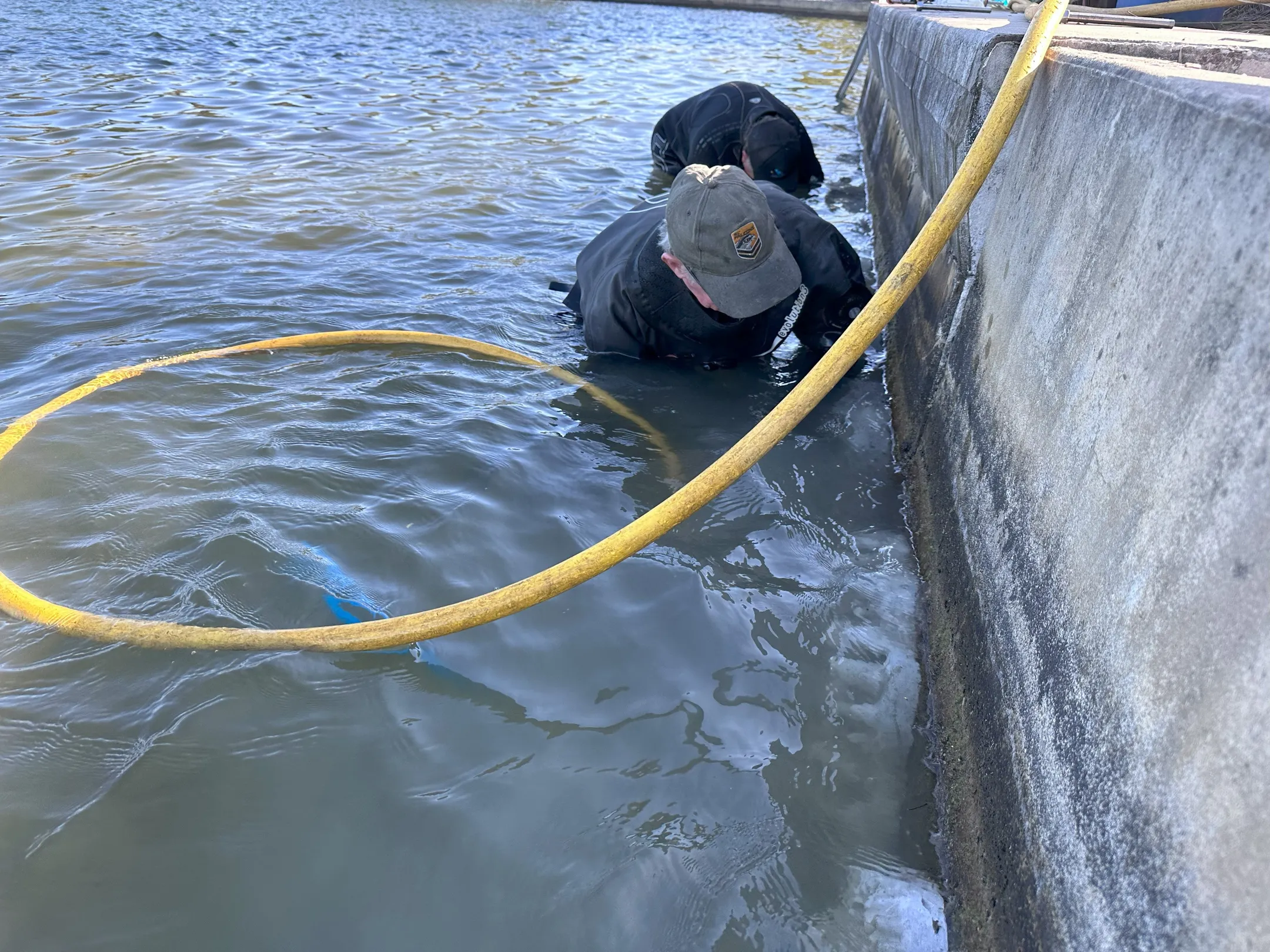 Divers installing sea wall panels.