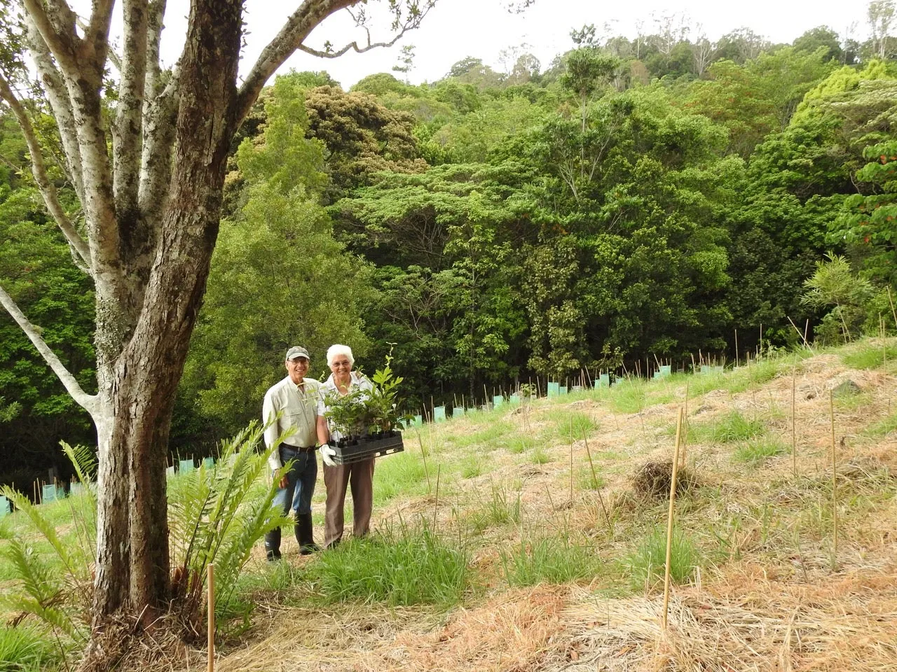 Voluntary%20conservation.jpg