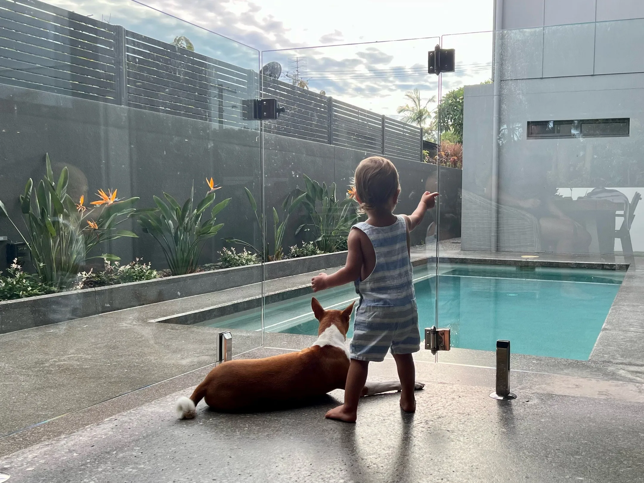 An image about Ensure your pool is safe for summer