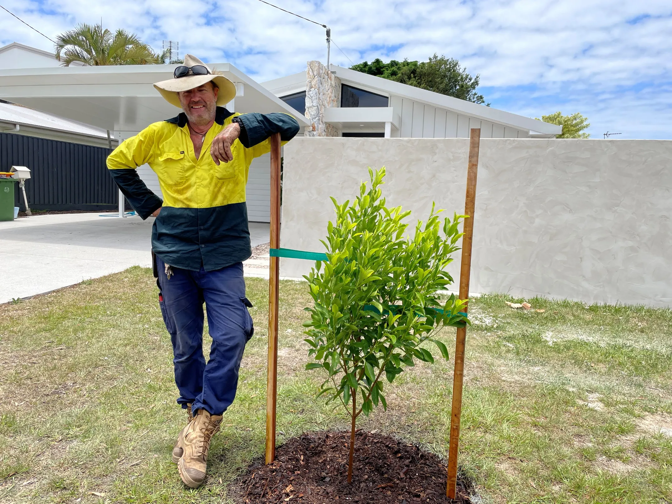 Council Officer planting street trees