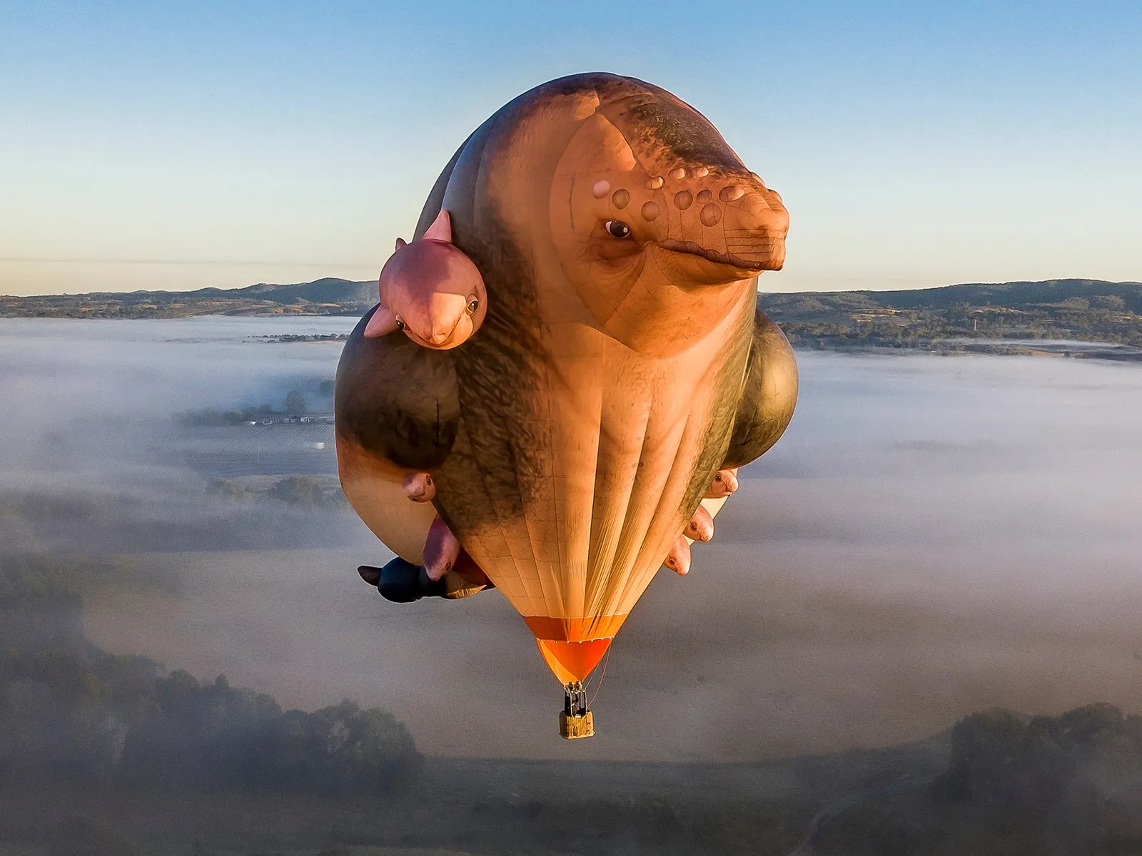 Patricia Piccinini, Skywhalepapa, 2020 and Skywhale, 2013, National Gallery of Australia, Kamberri/Canberra, © Patricia Piccinini.