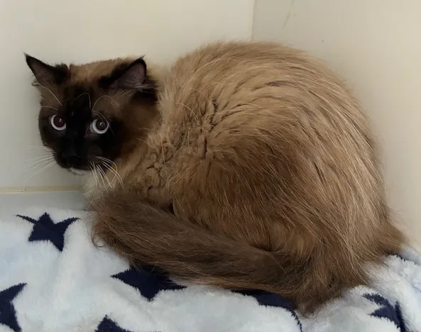 An image about ANI IMP26/00123