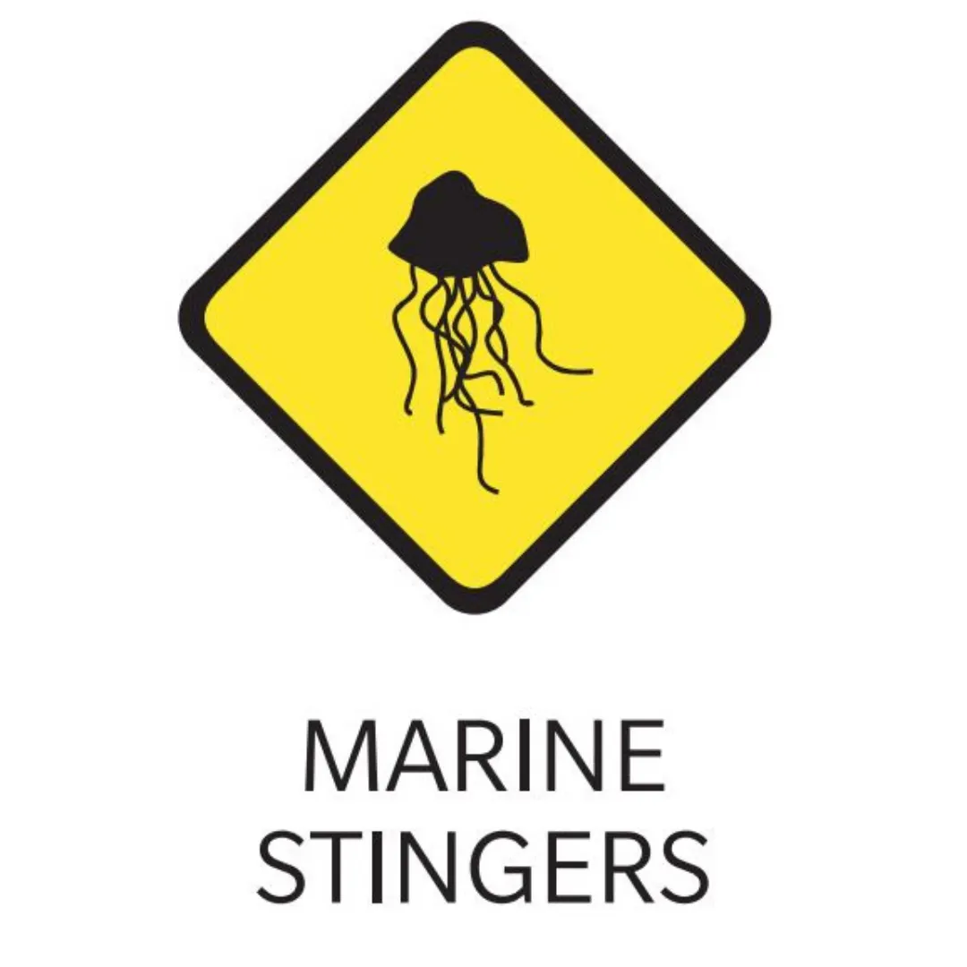 Black and yellow sign displaying a marine stinger with the words Marine stingers written on the sign.