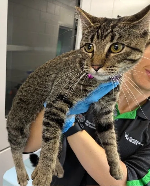 An image about ANI IMP26/00276