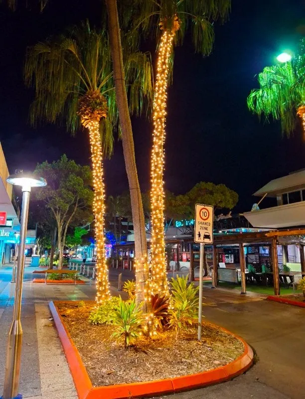 Decorative bud lighting winding up palm trees along Ocean Street, Maroochydore.