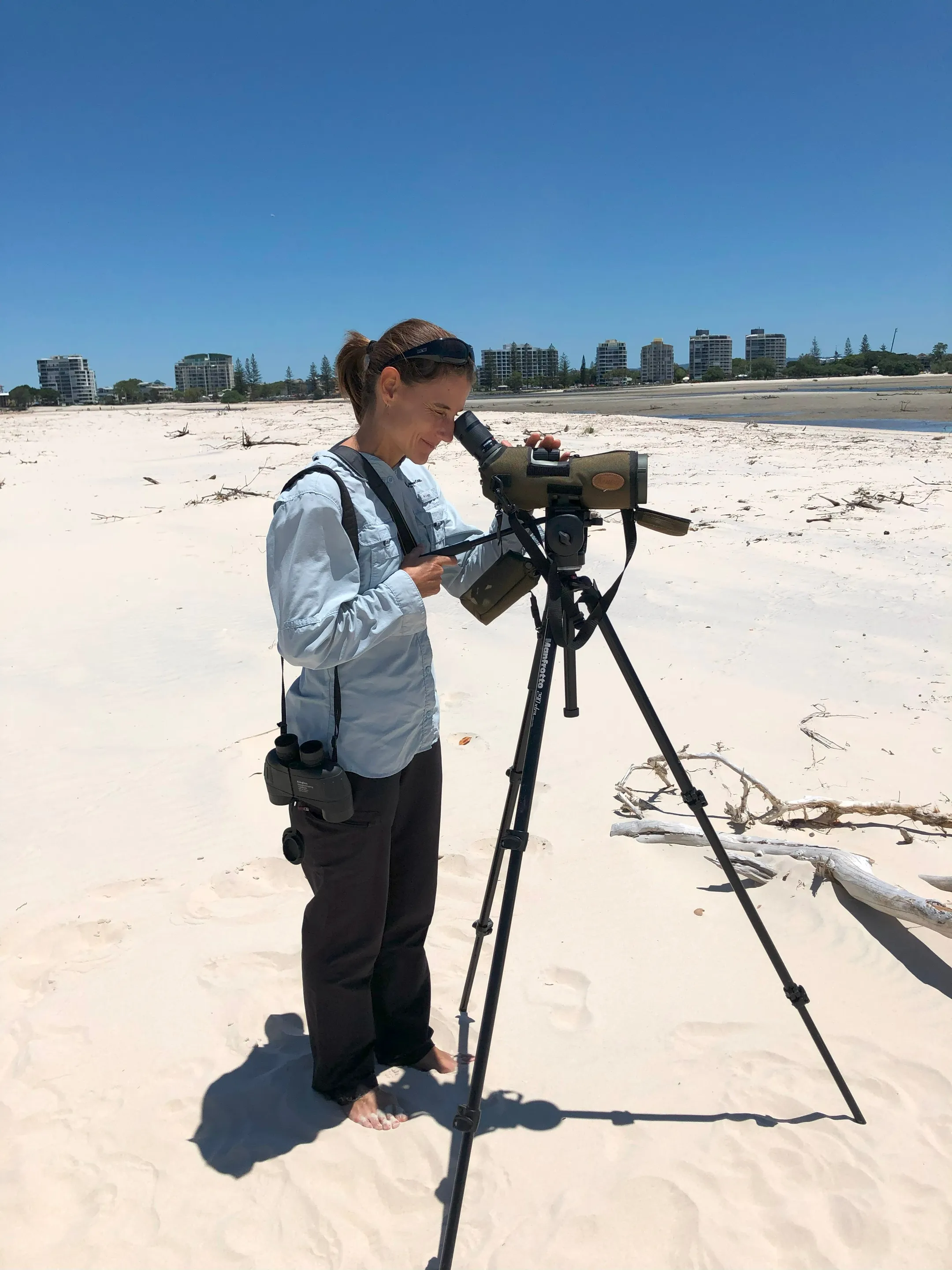 Looking for shorebirds at the Pumicestone Passage ©Simone Bosshard