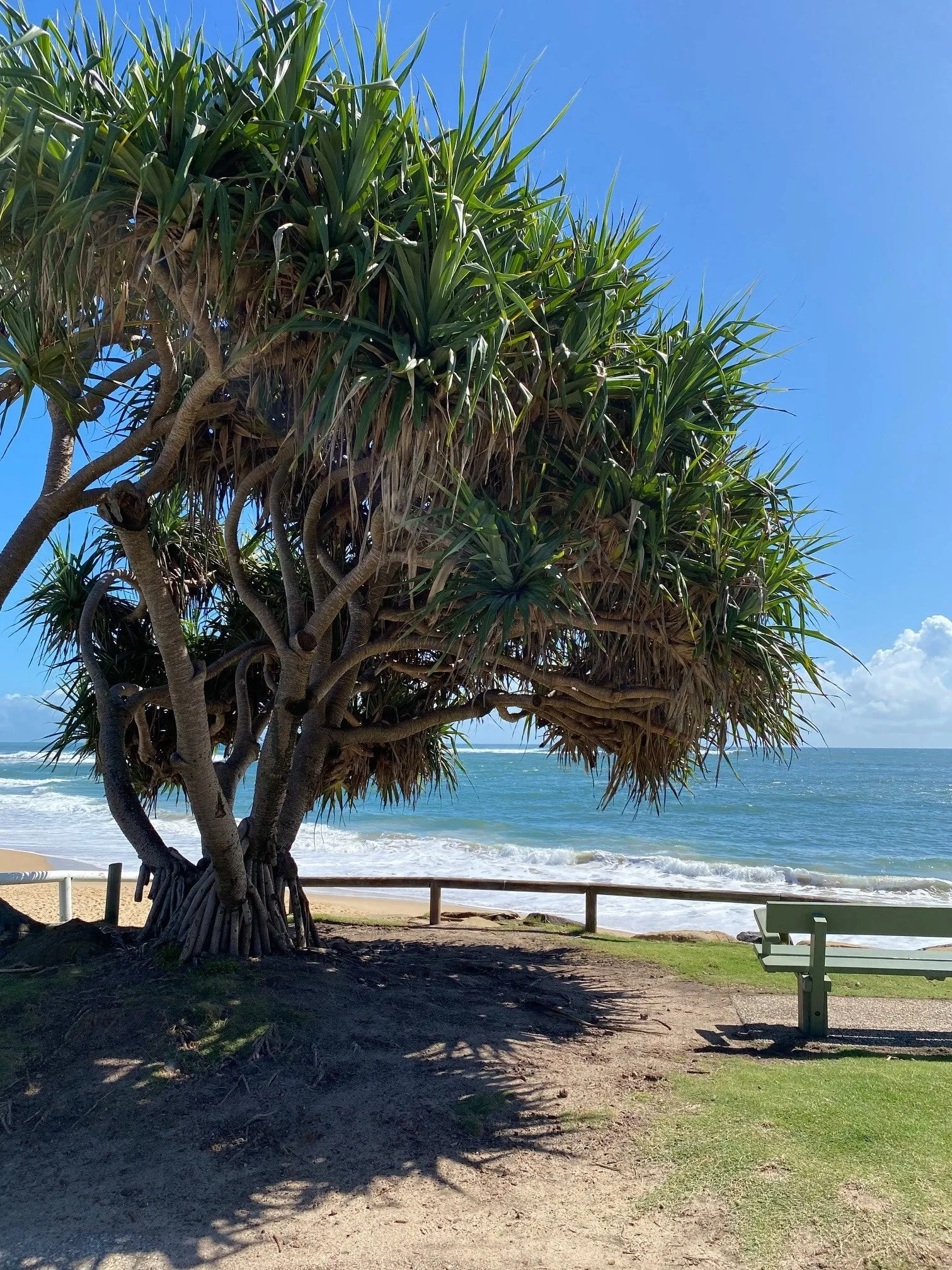 Moffat Beach