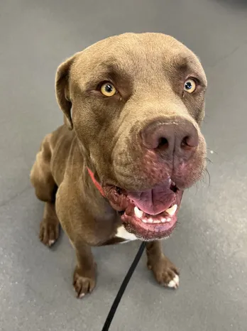 An image about ANI IMP26/00306