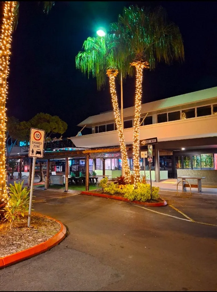 Decorative bud lighting winding up palm trees along Ocean Street, Maroochydore.