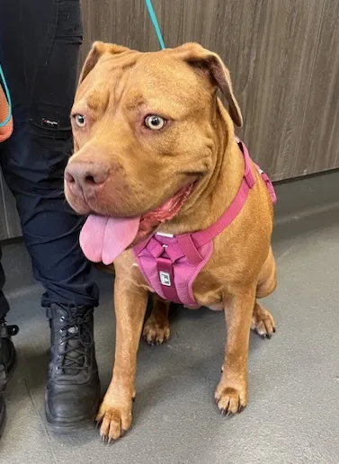 An image about ANI IMP25/01212