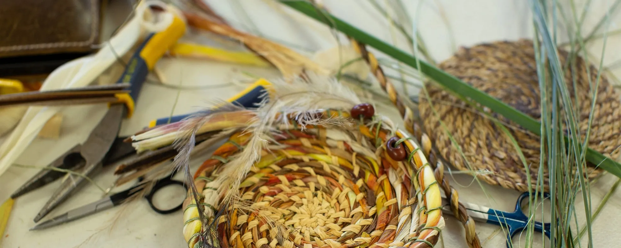 An image about Skills sharing workshops series