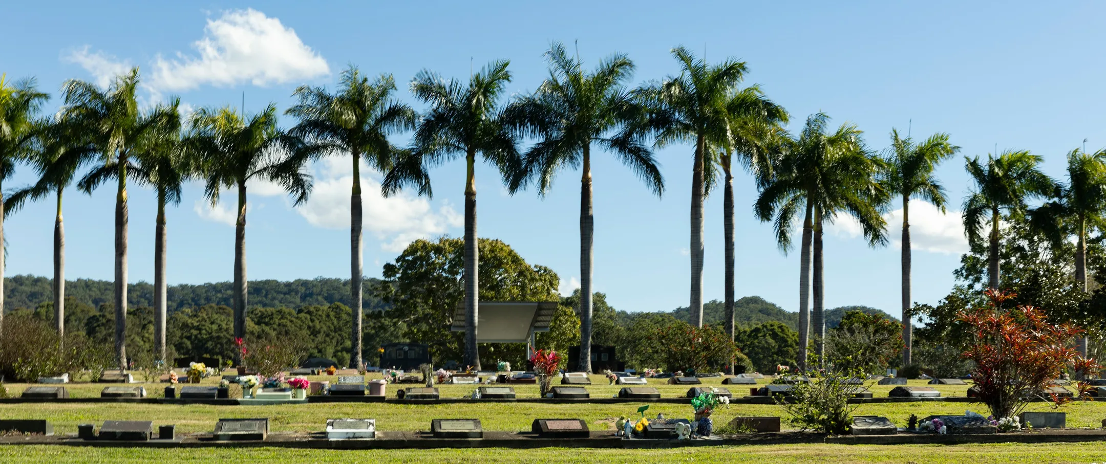 An image about undefined