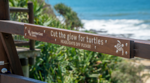 A sign on a wooden fence near the ocean saying " Cut the glow for turtles".