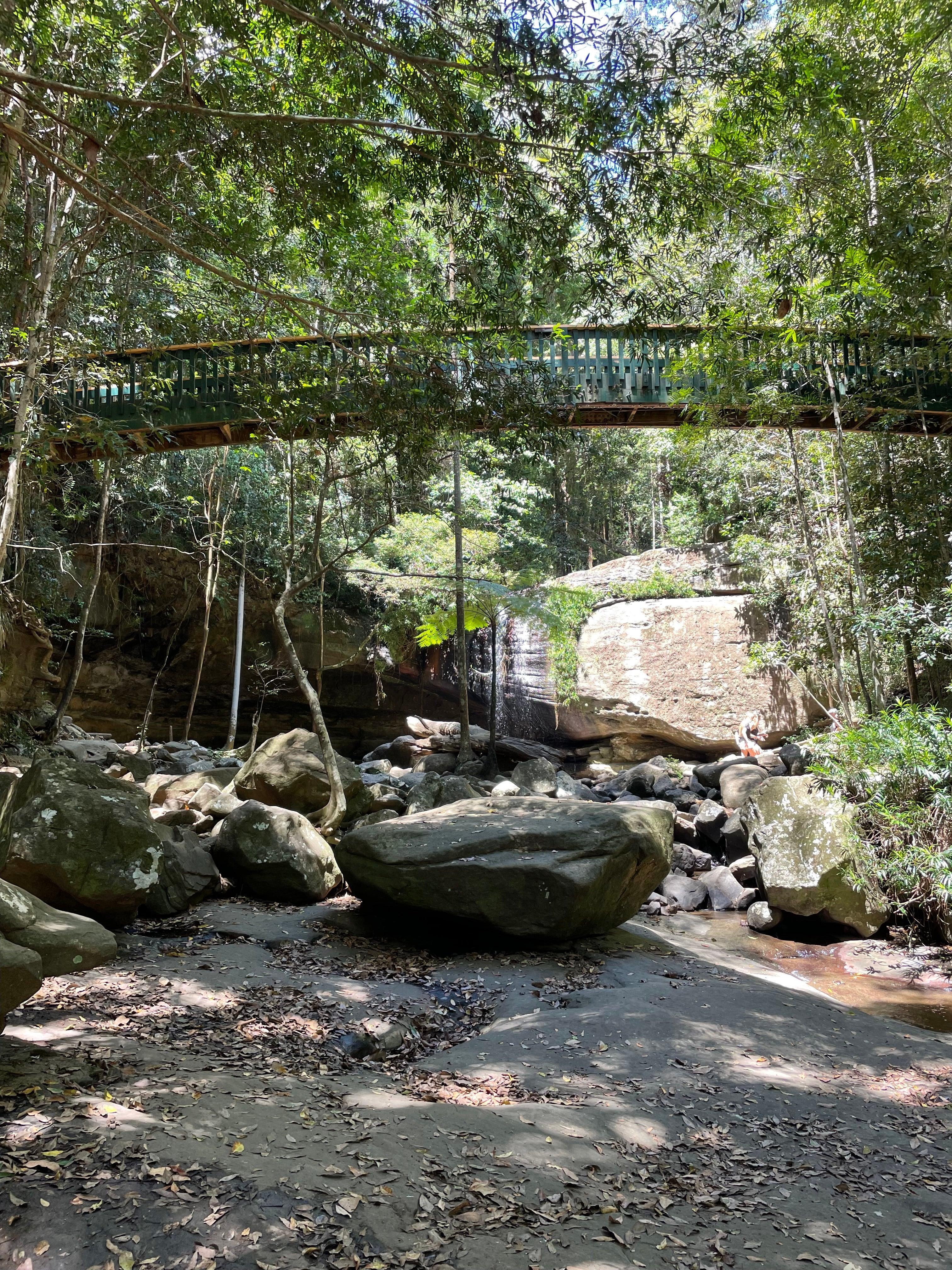 Buderim Forest Bridge