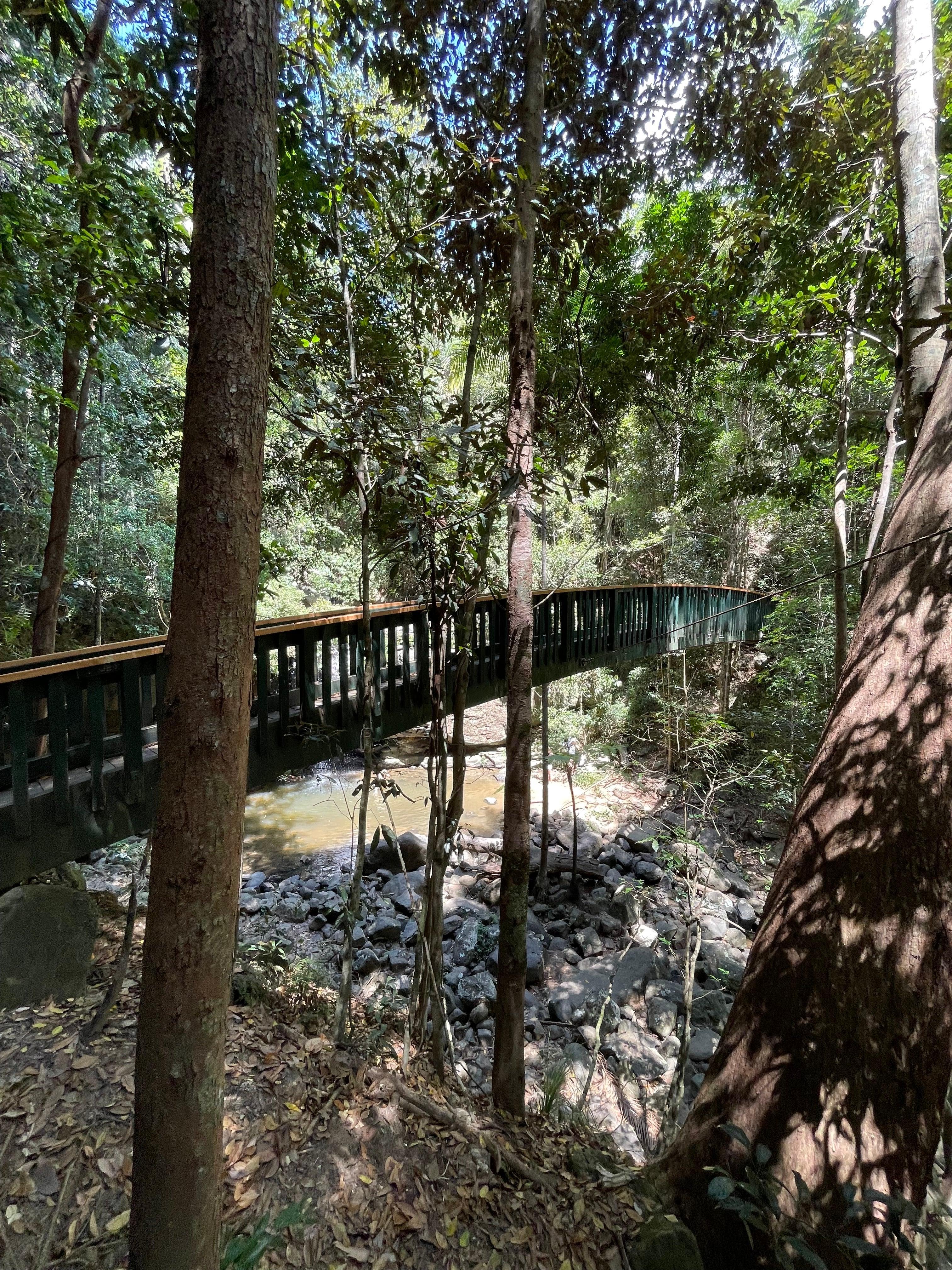 Buderim Forest Bridge