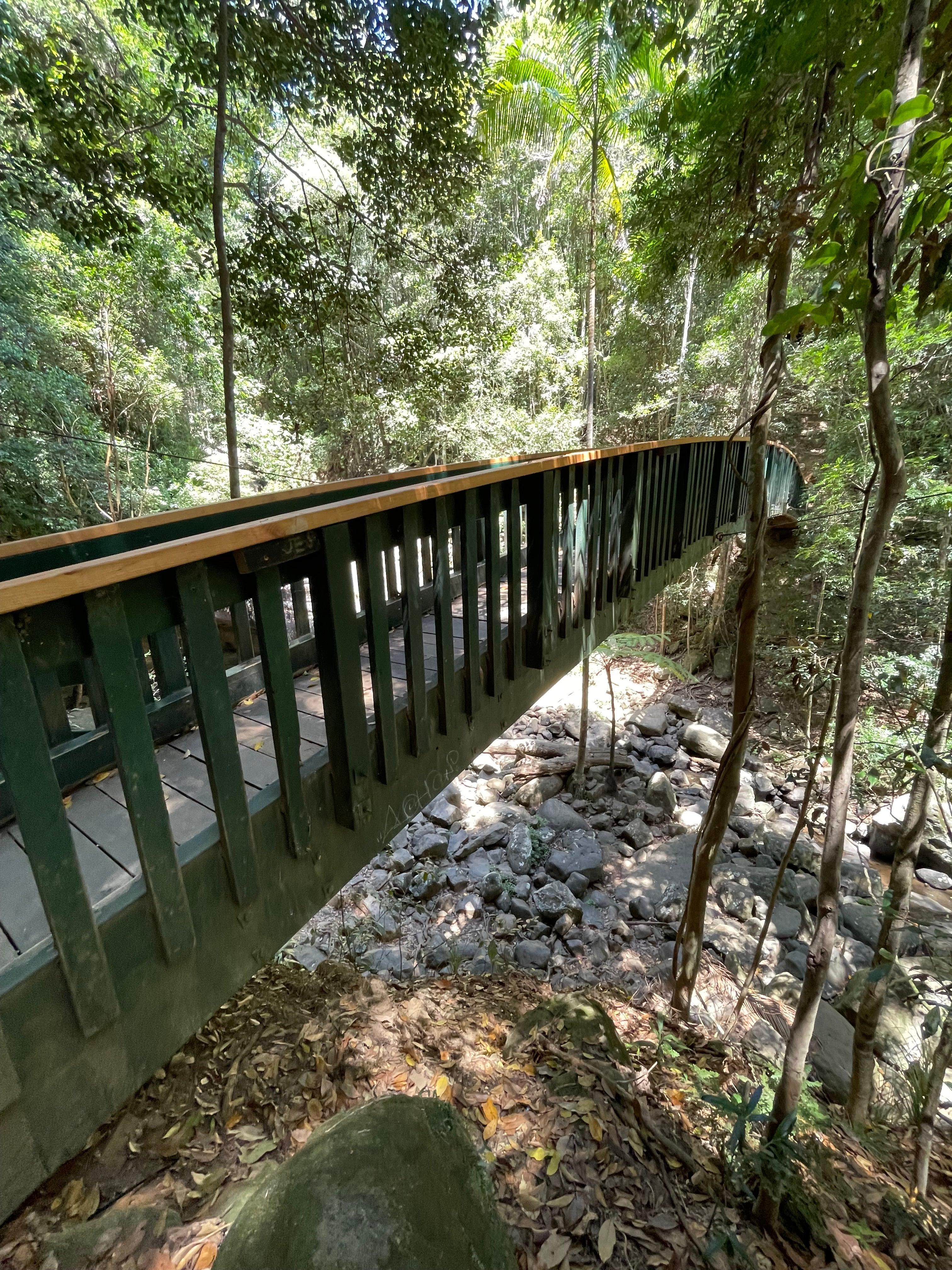 Buderim Forest Bridge timber railing