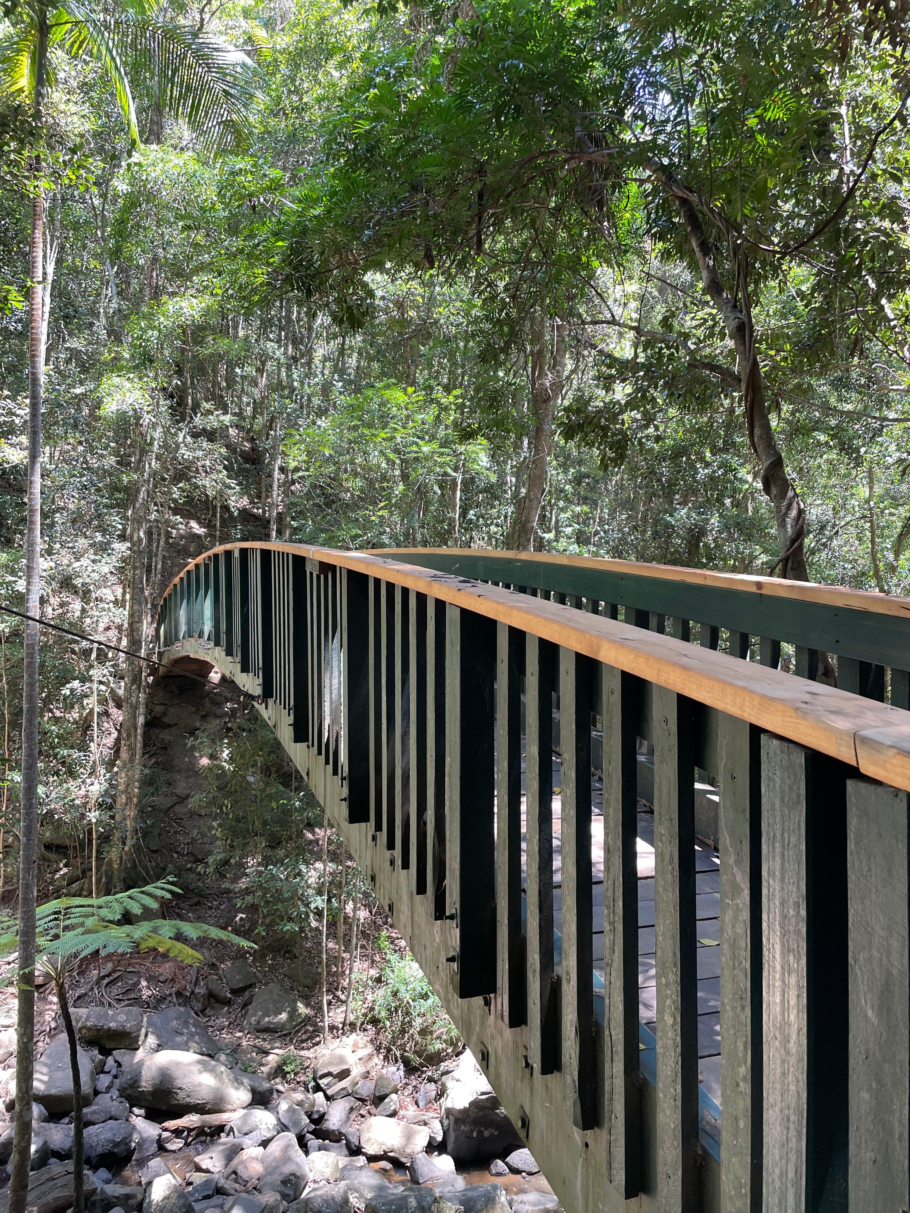 Buderim Forest Bridge timber railing