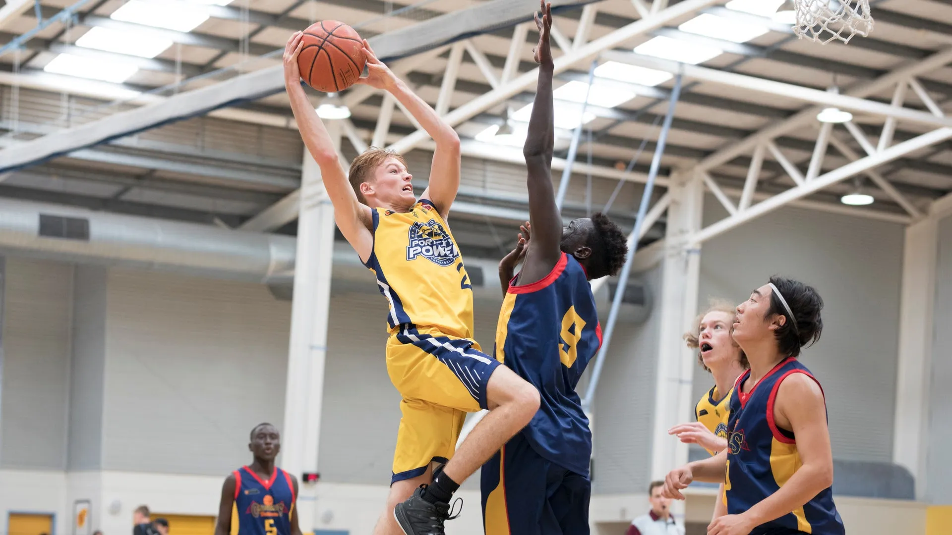 Cover%20image%20-%20basketball.jpg
