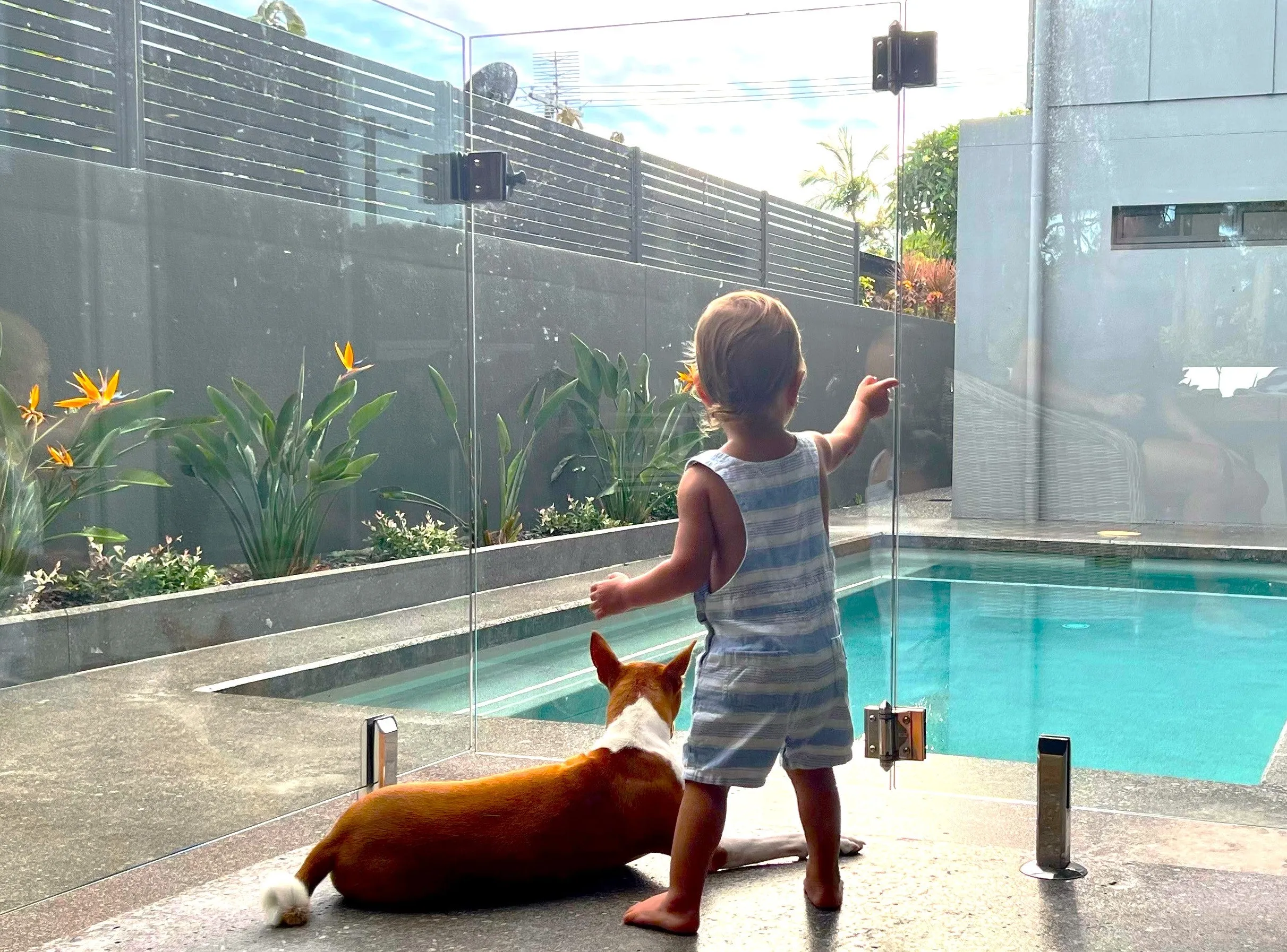 Swimming%20pool%20safety1%20%281%29.jpg