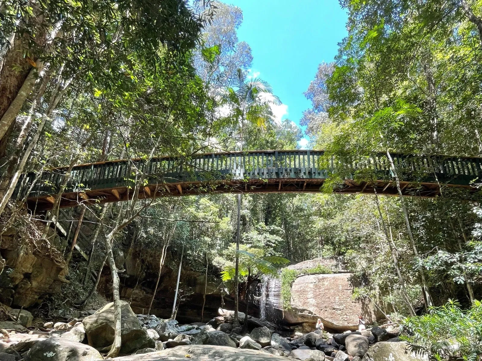 Buderim Forest Bridge
