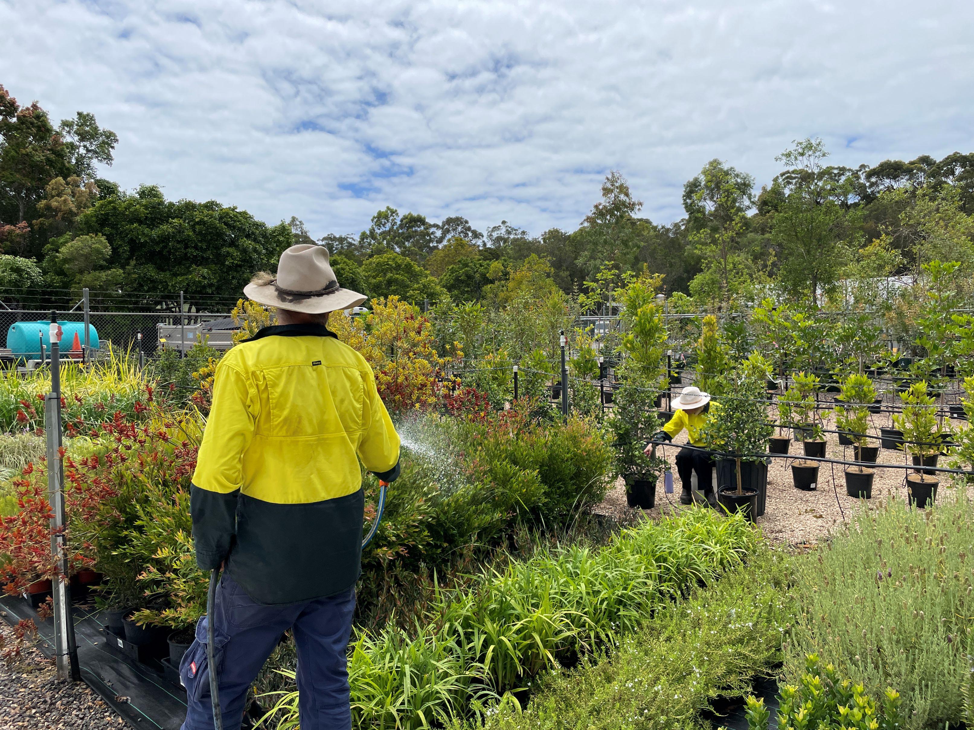 Parks workers with high school work experience student at plant nursery wearing PPE