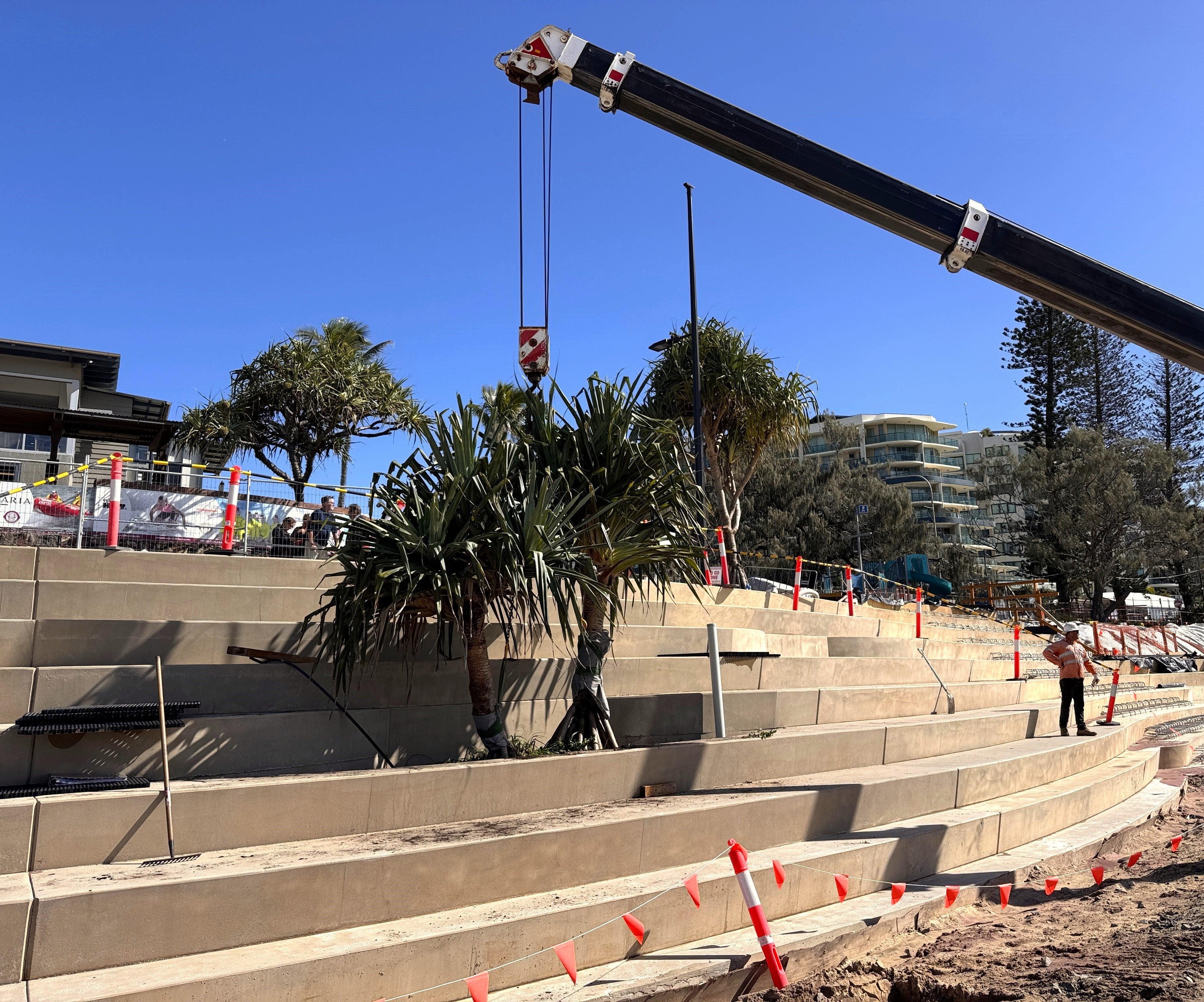 Pandanus tree being craned into place within the terrace seawall.