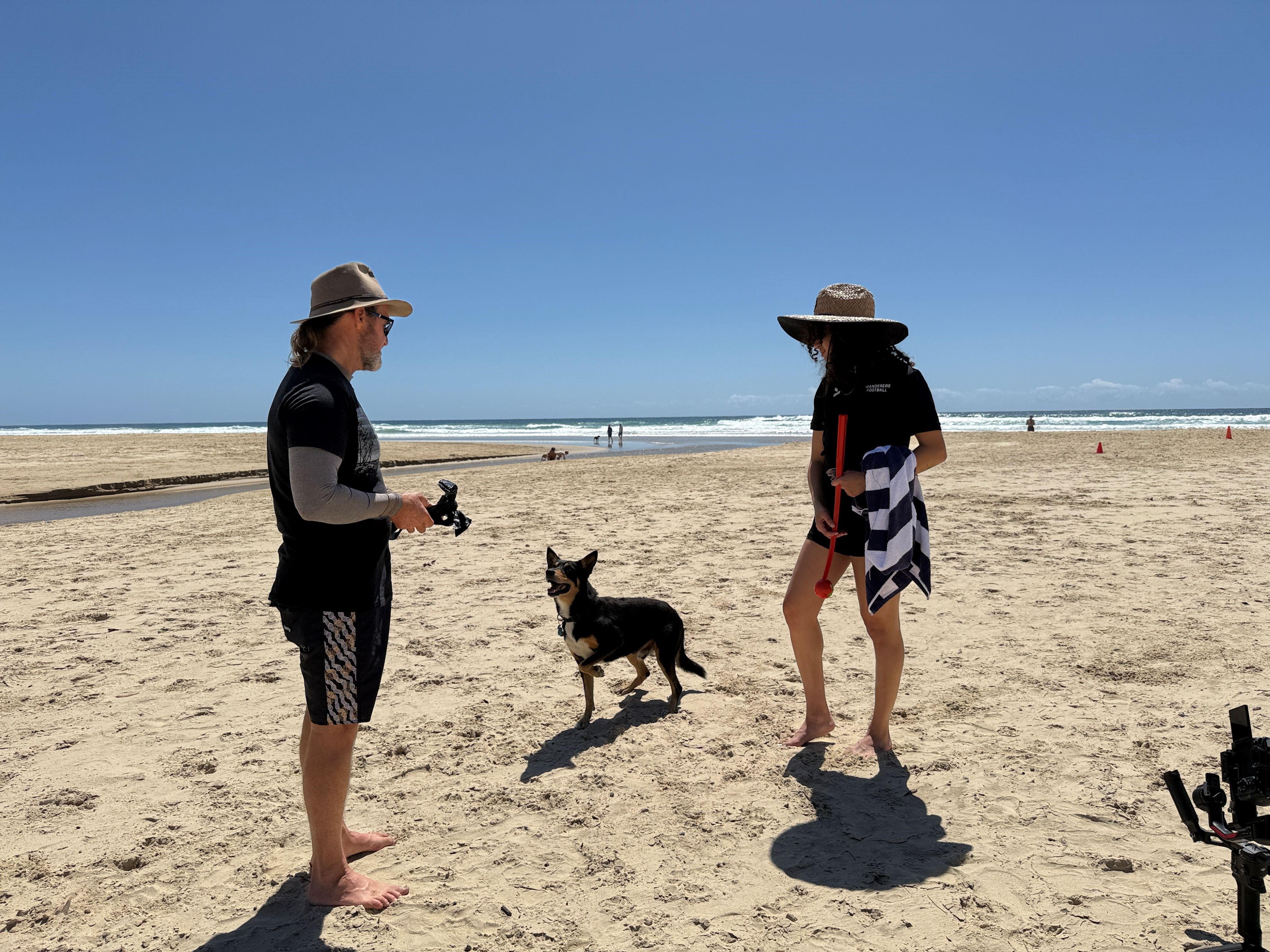 Dog and owners at beach playing on sand