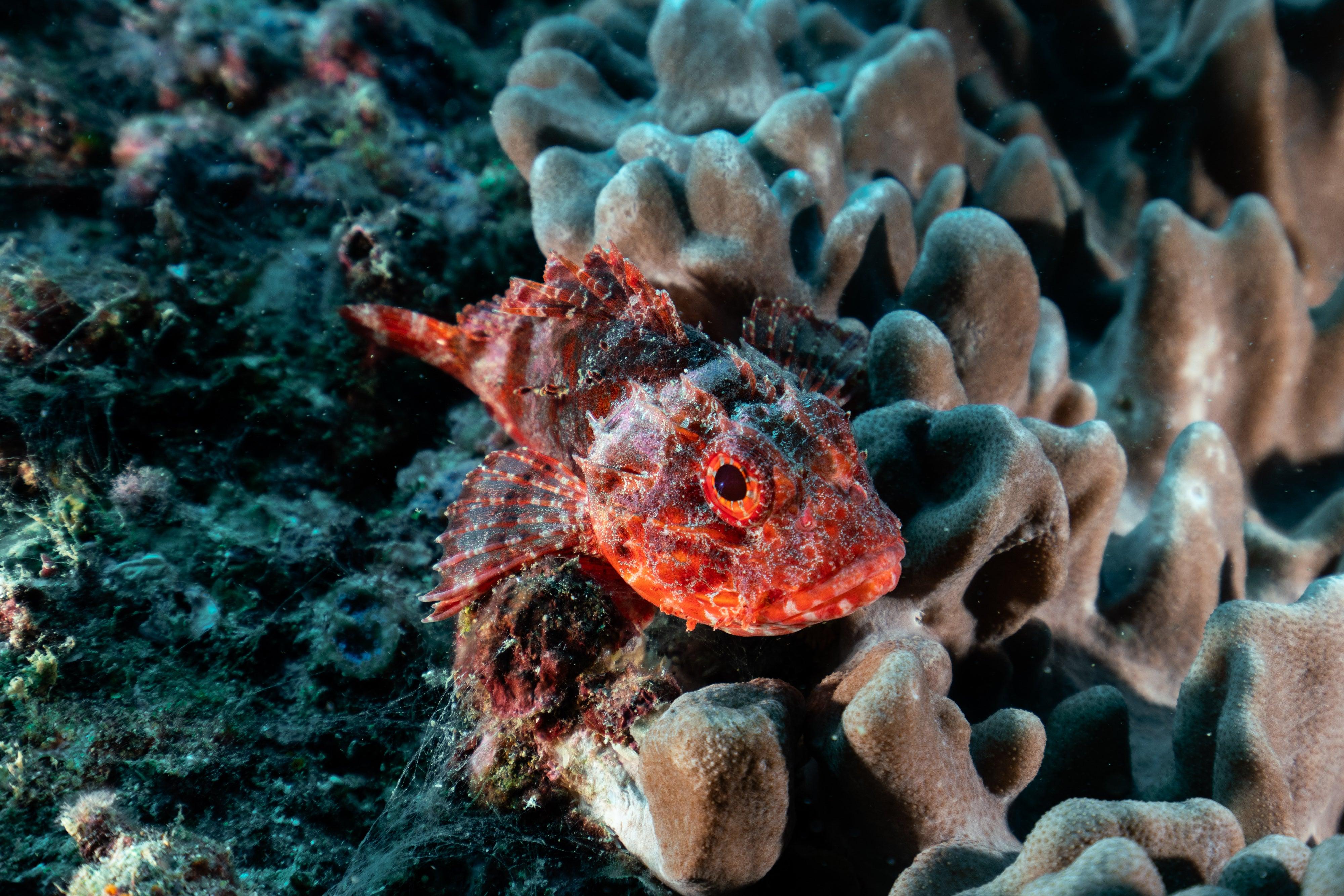 Photographer: Ste Everington