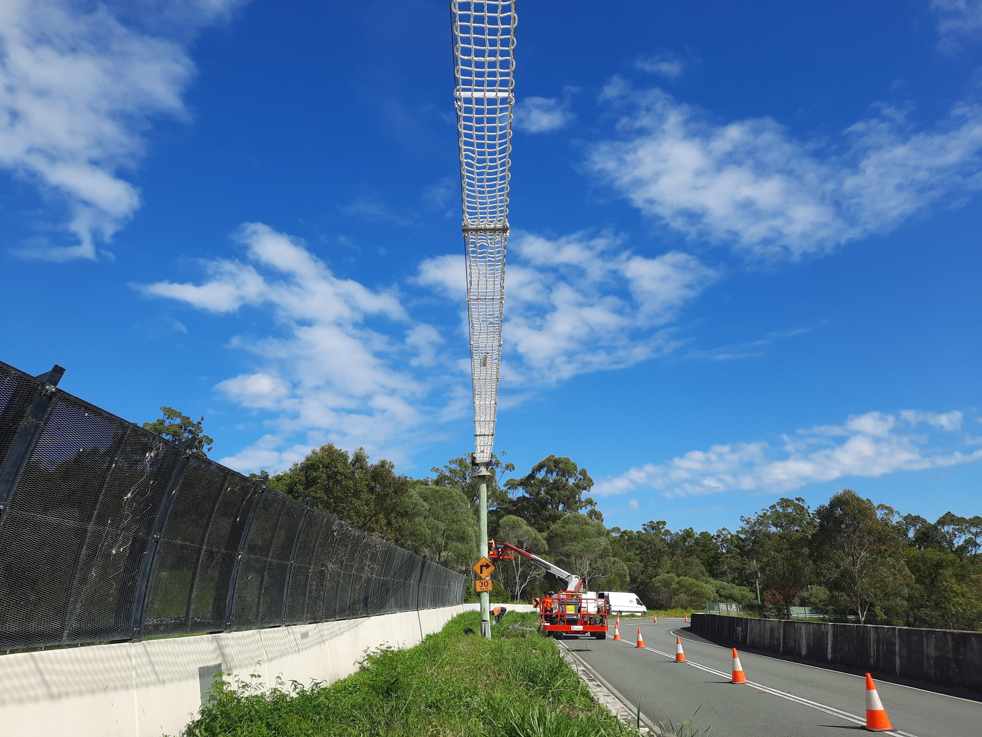 Rope ladder suspended in the air over a grassy verge