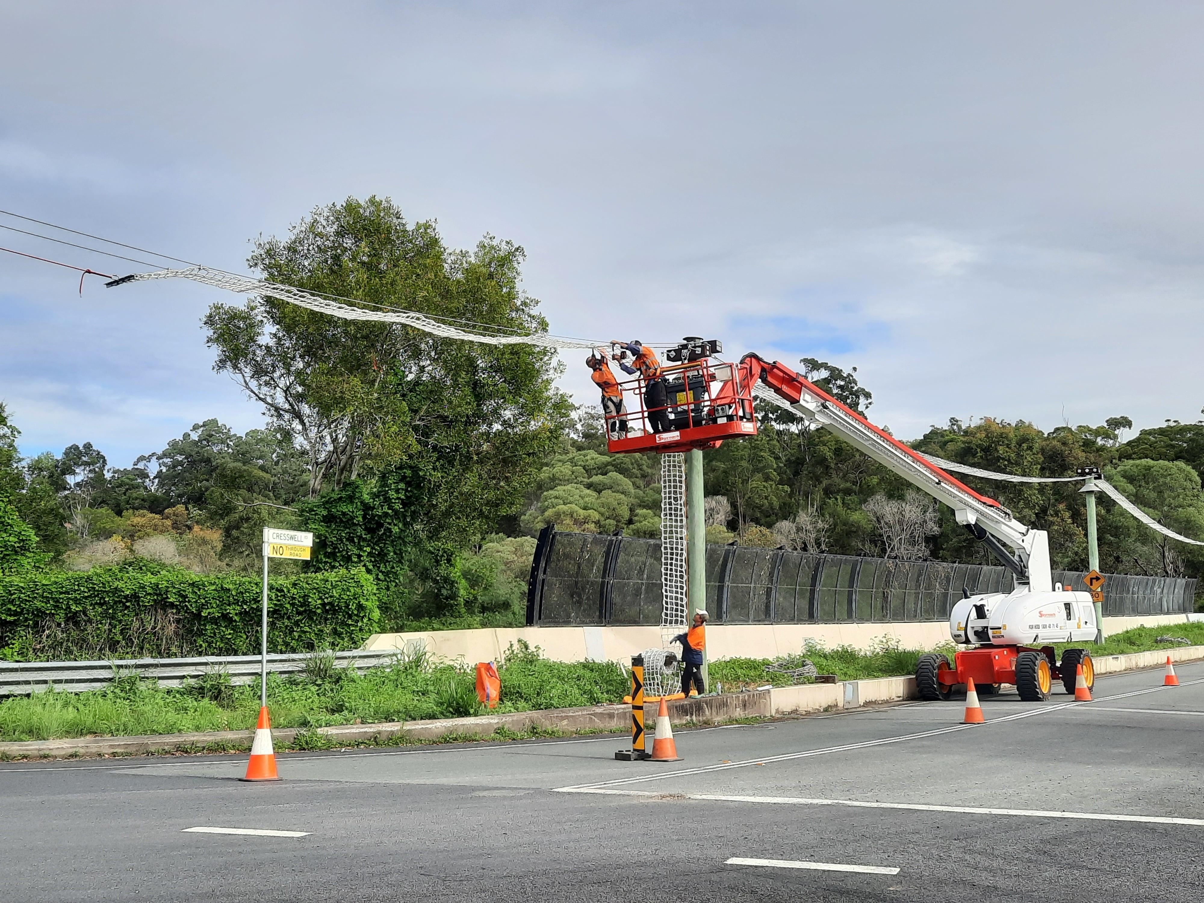 People standing on a cherry picker replacing the rope ladder that acts as the wildlife bridge for animals who love trees