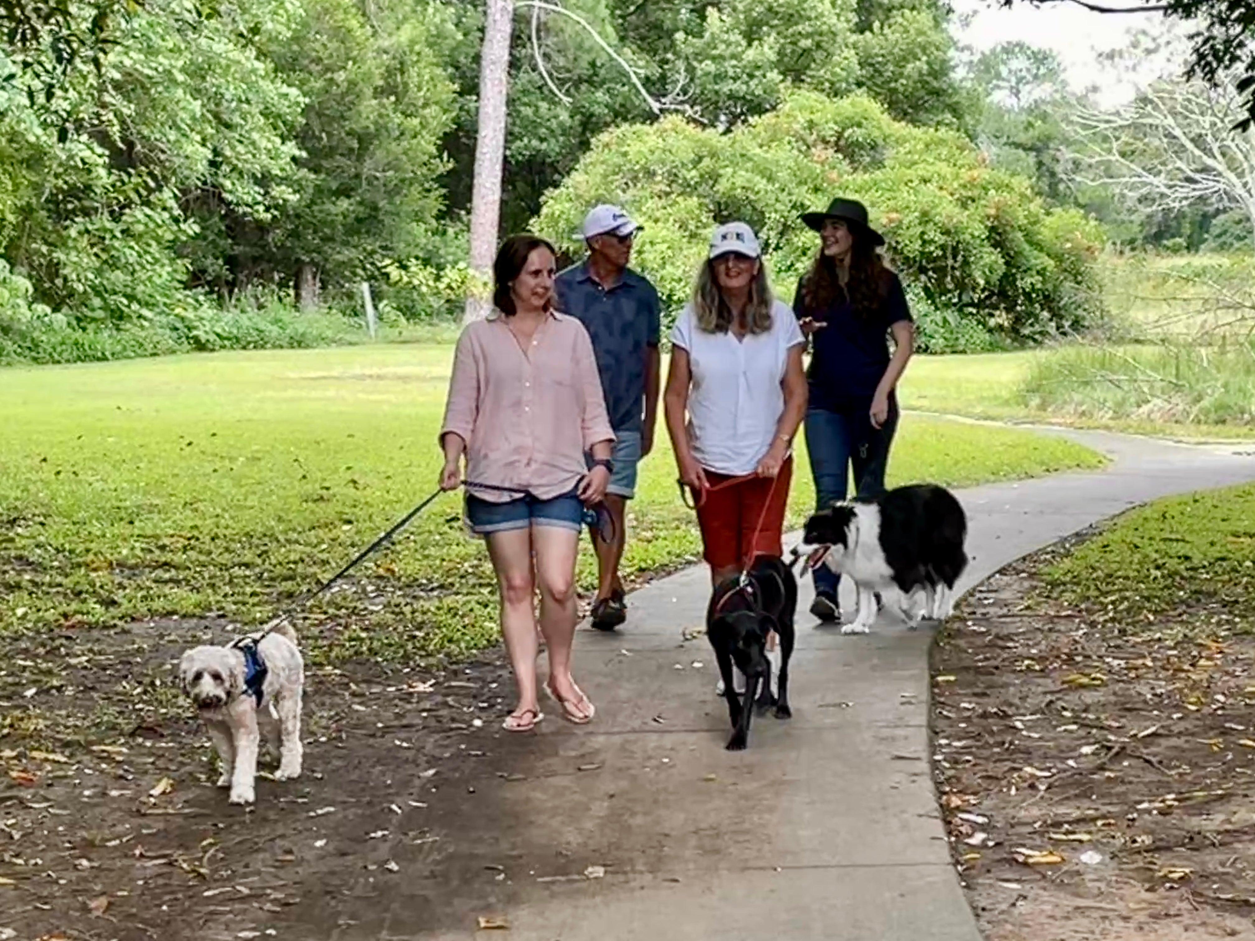 Small group of people walking dogs at Palmwoods park