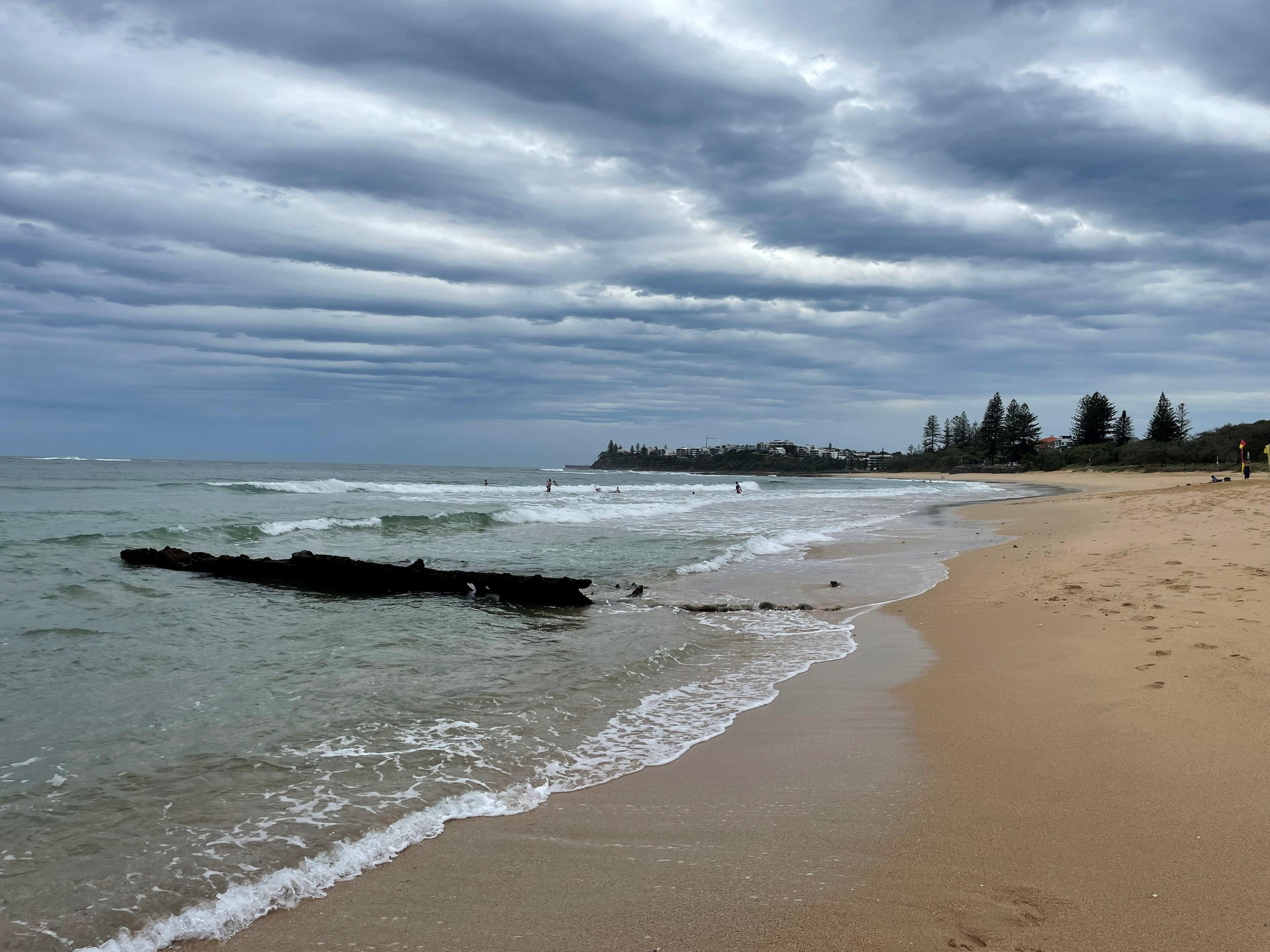 S.S. Dicky taken 9 March 2023