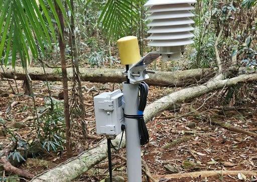 A soil moisture sensor installed at Mary Cairncross Scenic Reserve