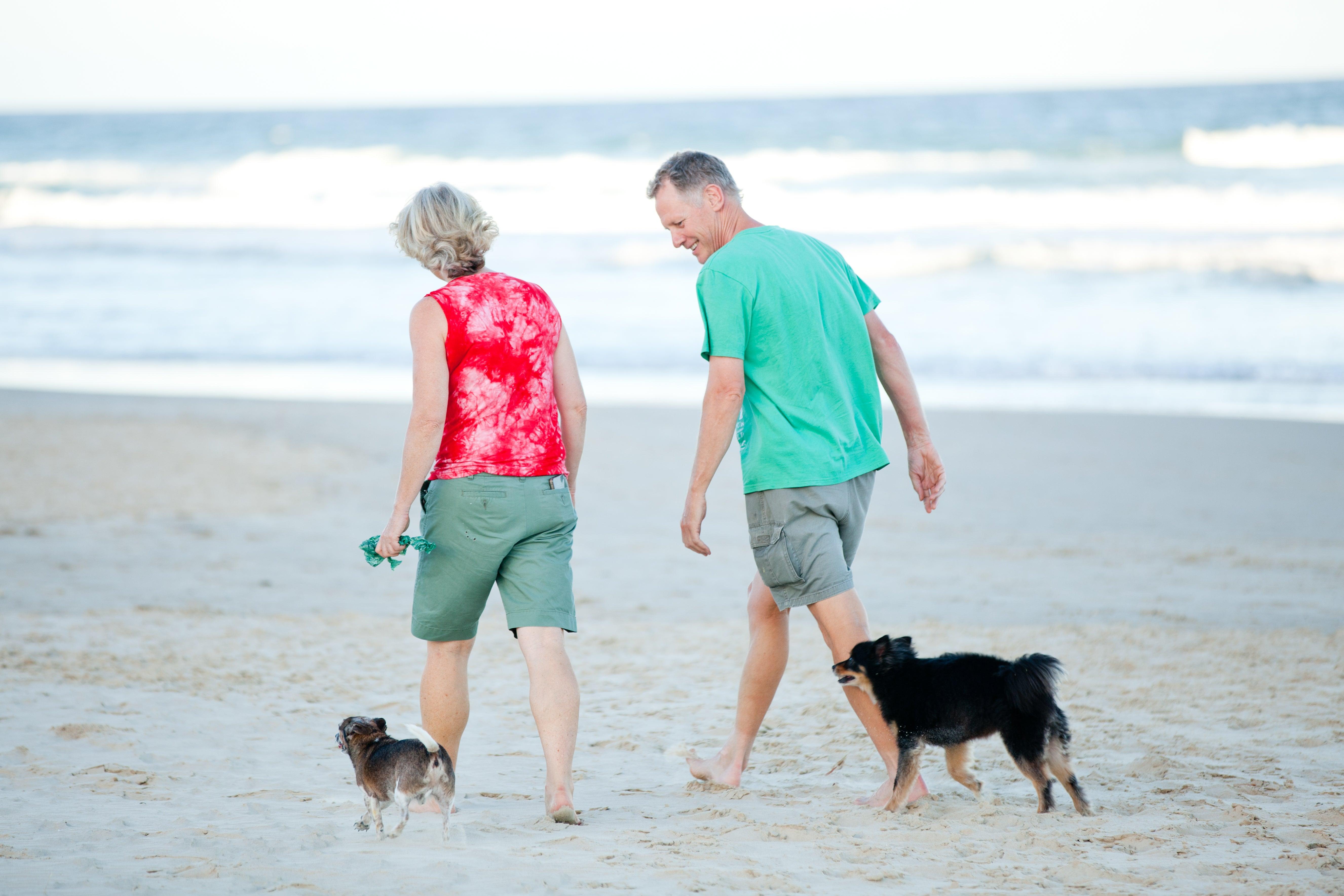 Woman and man walking on beach with two small fogs off-leash