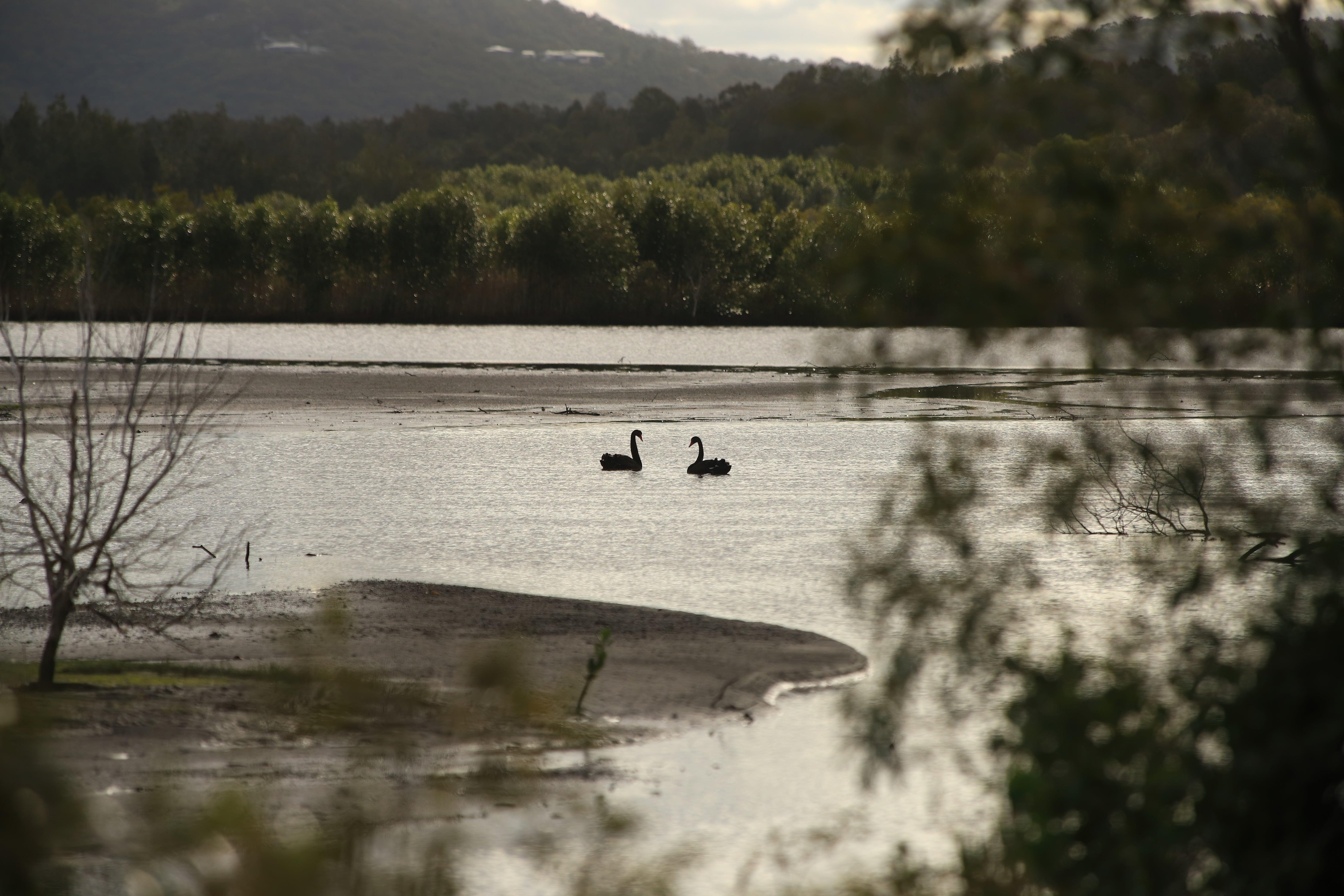 The area is culturally significant to Kabi Kabi Peoples