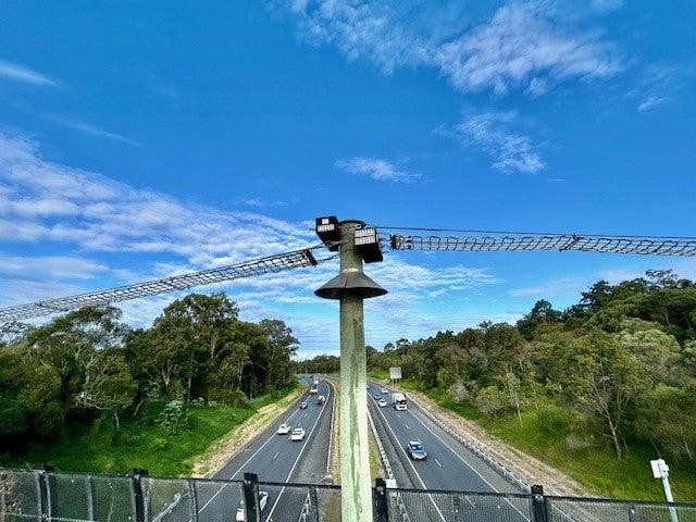 An image showing cars driving in both directions along Caloundra Road with the wildlife bridge suspended over head.