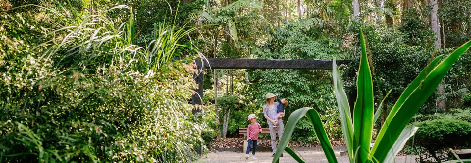 An image about Maroochydore Bushland Botanic Garden
