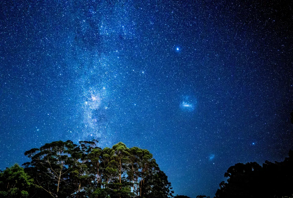 Kirbys Road Environment Reserve looking south
Photo credit: Dr Ken Wishaw and Geoff Simon
